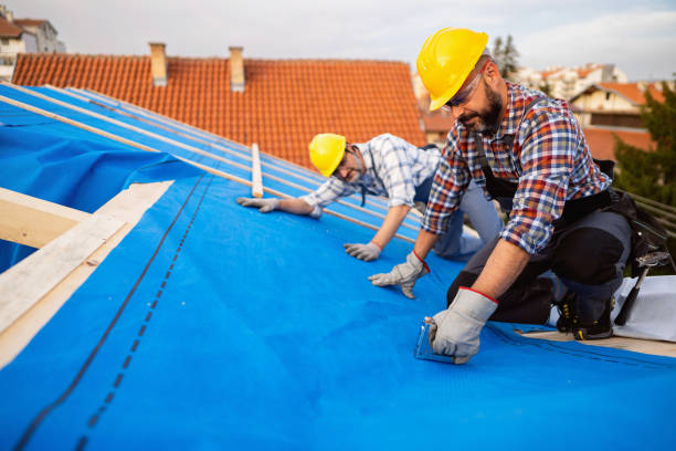 Best Storm Damage Roof Repair  in Nneconne, WI