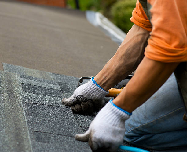Best Emergency Roof Repair  in Nneconne, WI