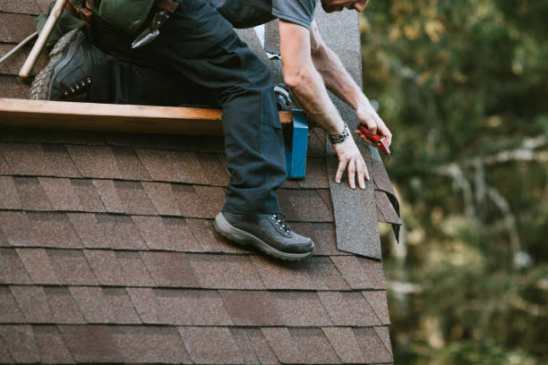 Best Roof Repair Services  in Nneconne, WI