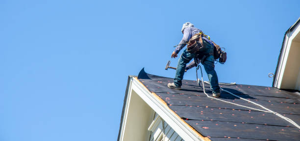Best Metal Roofing Contractor  in Nneconne, WI